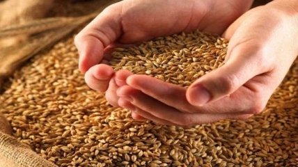 Аграрии уже намолотили почти 38 млн тонн зерна