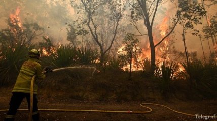 В Австралии вновь вспыхнули масштабные лесные пожары