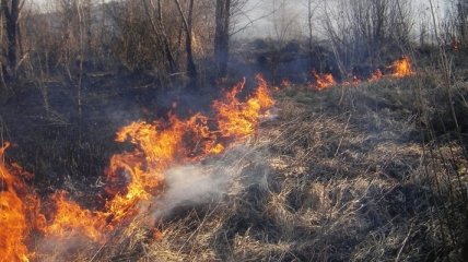 На Львівщині загинула пенсіонерка під час спалювання трави