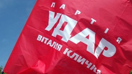 В "УДАРе" хотят провести внеочередные выборы мера Киева 15 декабря