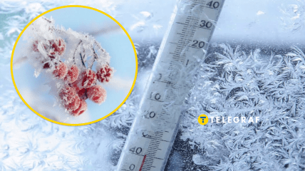 Рекордно холодные зимы в Украине