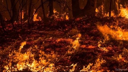 Дания направит пожарных для тушение пожара в Гренландии