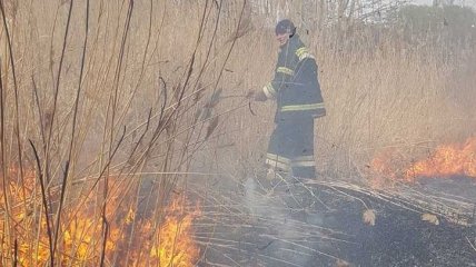ДСНС просить українців у триматися від спалювання трави через пожежі в екосистемах