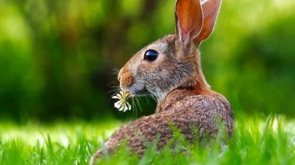 Жара и дожди: какими будут последние дни лета 