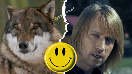 Олег Винник "Вовчиця"