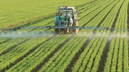 Ученые выяснили, какая взаимосвязь существует между пестицидами и аутизмом 