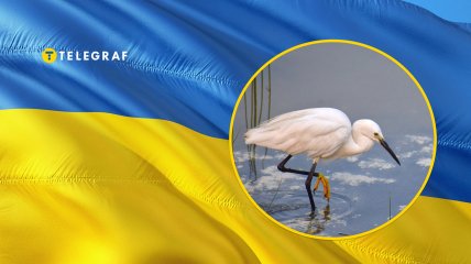 Журавель у воді