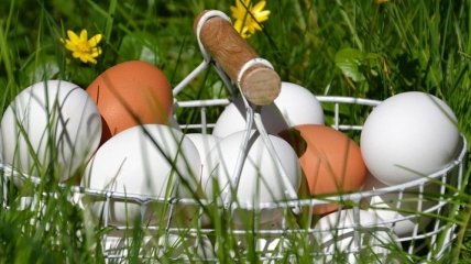 Сколько яиц можно есть в неделю: мнения специалистов