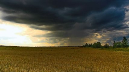 Прогноз погоды в Украине на 27 июня: дожди почти на всей территории