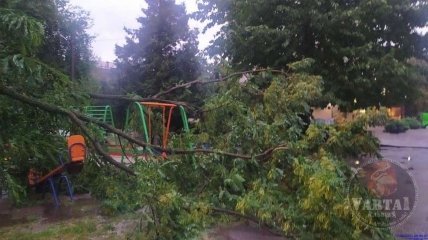 Ураган повалил деревья во Львове