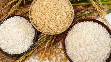 Диетологи раскрыли секрет снижения калорийности риса