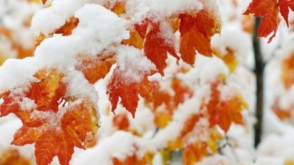 Погода в Украине 15 ноября: преимущественно мокрый снег, местами без осадков 
