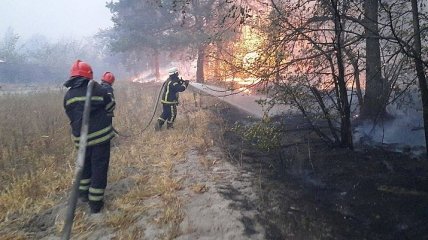 Стало известно о новых жертвах чудовищного пожара на Луганщине