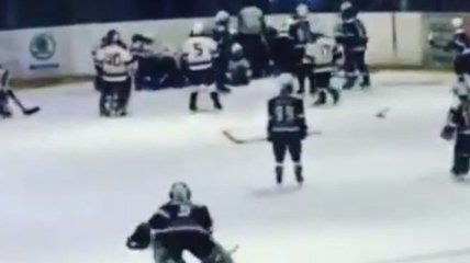 В России 10-летние хоккеисты устроили драку "стенка на стенку" (видео)