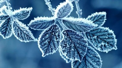 Завтра Украина местами промерзнет до -5°C