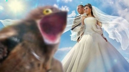 Смех до слез: странные свадебные снимки, глядя на которые вам тут же расхочется женится 