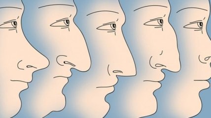 Что форма носа может рассказать о характере человека 