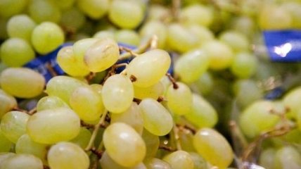 Виноград восстанавливает обмен веществ