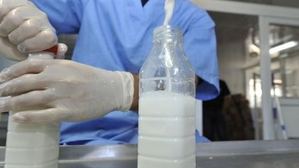 Роспотребнадзор заморозил ввоз молочных продуктов из Новой Зеландии