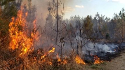 Украинцев предупреждают о высоком уровне пожарной опасности
