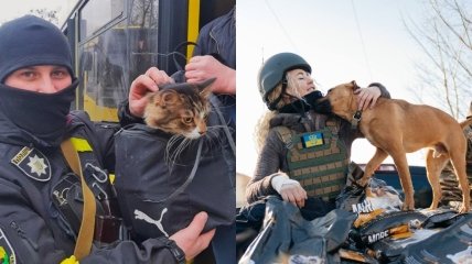 Українці не забувають про гуманність і рятують життя не лише людей, але й тварин
