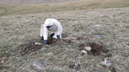 Бубонная чума: в Монголии обнаружили еще одного инфицированного