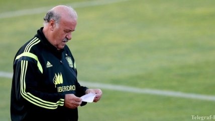Испанская федерация футбола намерена продлить контракт с Дель Боске