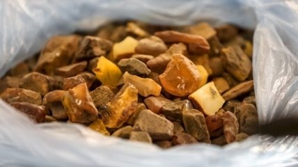 В Ровенской области 15 человек незаконно добывали янтарь