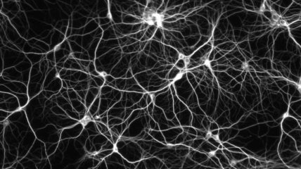 "Эндоцитозную теорию" болезни Альцгеймера доказали на нейронах