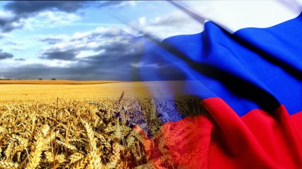 Россия ожидает снижения экспорта зерна из Украины