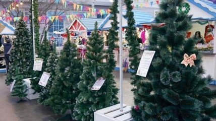 СМИ: В Симферополе продают елки из Прикарпатья