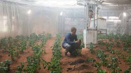 Выращенные "марсианские" овощи признали съедобными