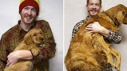 Люди показали, как их собаки превратились из маленьких щенков в гигантов (Фото)