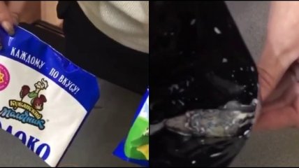 Женщина купила пакет молока, но внутри ее ждал крайне неприятный сюрприз (видео)