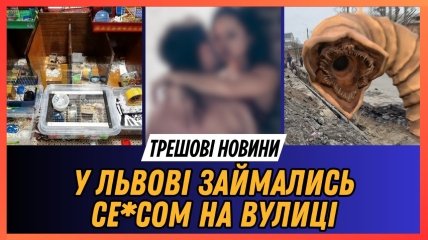 Главный "треш" недели: Бердичев превращается в Арракис, в Дрогобиче покусали полицейского, в Кропивницком нашли квартиру с 72 хомяками