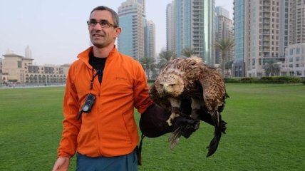 Невероятный полет орла с небоскреба Бурдж-Халифа (Видео)