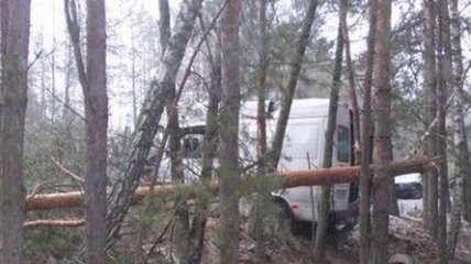 В Ровенской области микроавтобус влетел в дерево