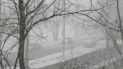 Погода в Украине 21 марта: во всех регионах - мокрый снег
