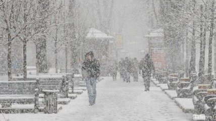 Завтра часть Украины накроет снегом