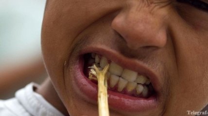 Сколько бактерий содержится во рту человека?