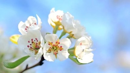 День труда - 2021: прикольные открытки и поздравления