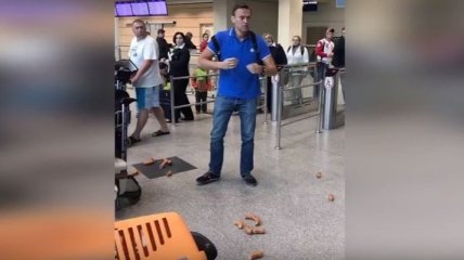Навального в аэропорту закидали сардельками