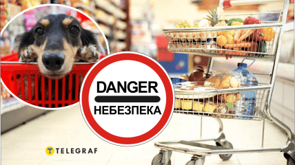 Опасные продукты со стола для собак и кошек