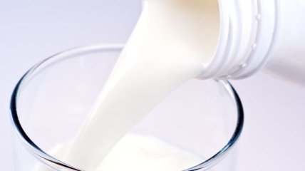 Полезно ли молоко для взрослых?