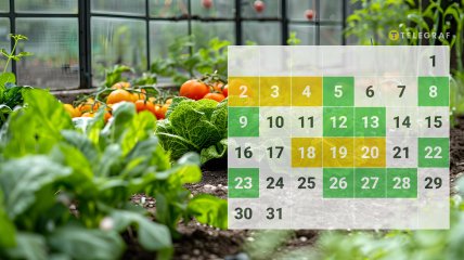 У березні вже можна приступати до планування посівного сезону