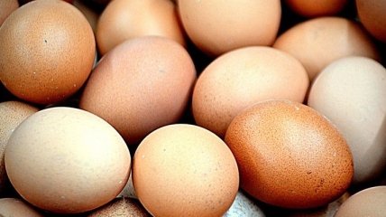 Медики рассказала о необычных свойствах куриных яиц
