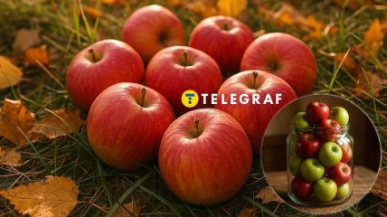 Моченые яблоки будут храниться долго