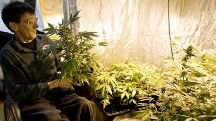Законопроект о "медицинской марихуане" внесен в конгресс США