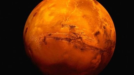 Ученые обнаружили окаменелости на Марсе с возможными следами жизни 