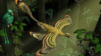 Китайские большие пернатые динозавры могли летать по типу птиц